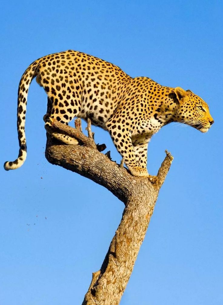 Tarangire National Park