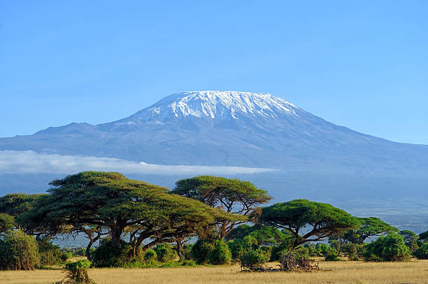 7 Days Explore Mount Kilimanjaro Through the Lemosho Route